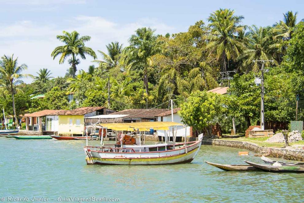 Imagem barco de pescador e ao fundo casas com coqueiros ao redor.